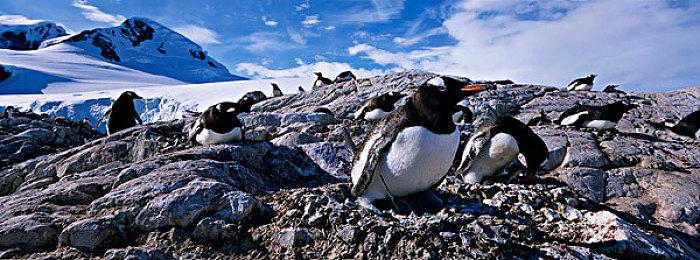 《迪士尼梦幻星谷》Epic版售价10万 官博提醒玩家不要购买