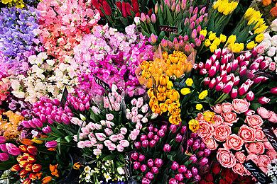 开放世界生存建造游戏《农场居民》现已上架Steam平台